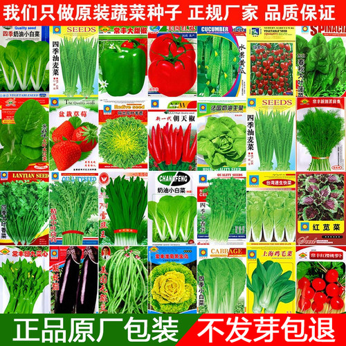 蔬菜种子大全四季青菜种孑家庭易种盆栽葱香菜生菜辣椒豆角番茄籽