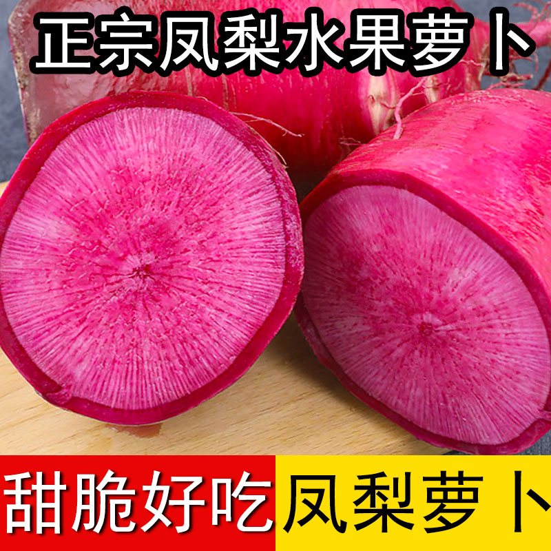凤梨红心水果萝卜紫美人四季甜脆耐寒耐热蔬菜大全萝卜农家种籽