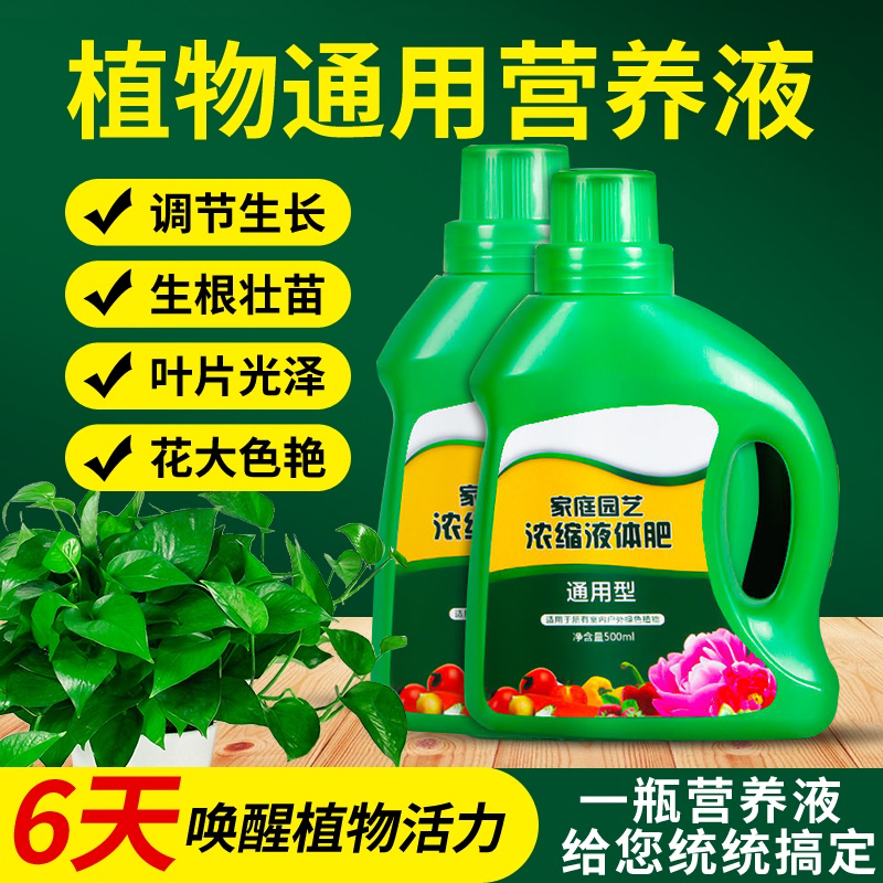 营养液植物通用型肥料发财树