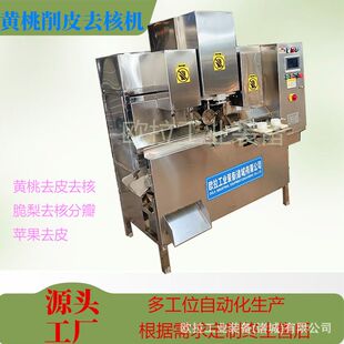 苹果削皮去核设备 商用带核水果去皮去核机 全自动去核加工生产线