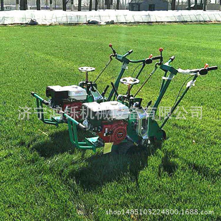 加重型起草皮机 后双轮手扶汽油起草皮机 0cm手扶起草皮机