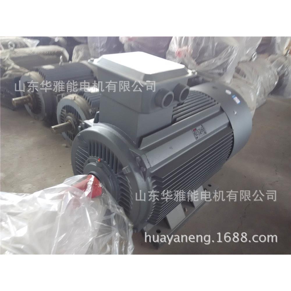 YE4-160M-4-11电机盐雾环境用YE4电机带德国编码器用户提供并安装