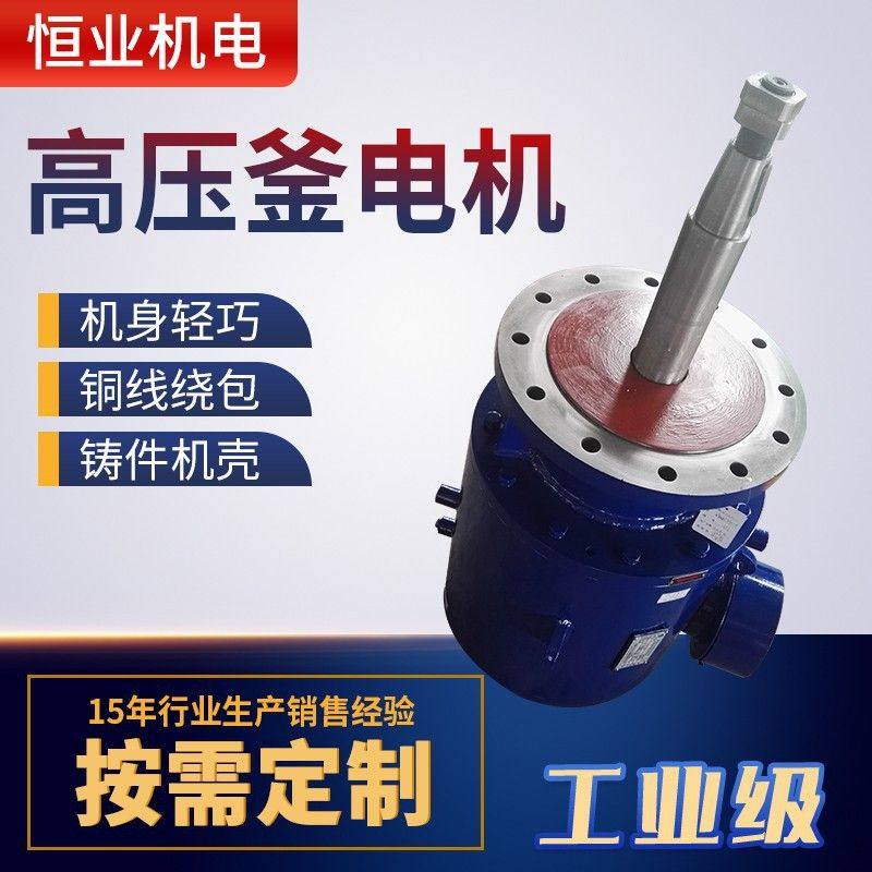 高压釜热处理炉用电机 热处理锅炉风机专用电机炉用密封电机,五金/工具,减速器,淘宝优惠券,粉丝福利购,淘宝优惠卷