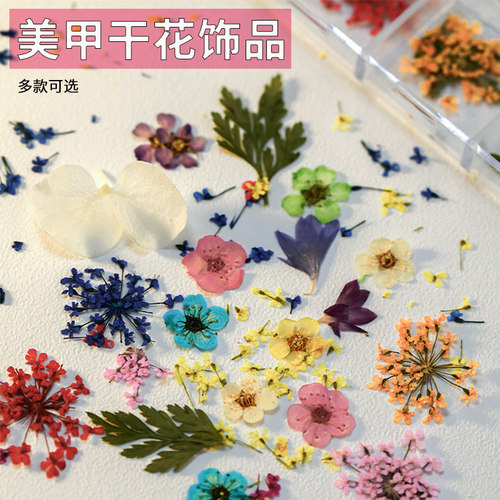 美甲干花饰品莫奈系列
