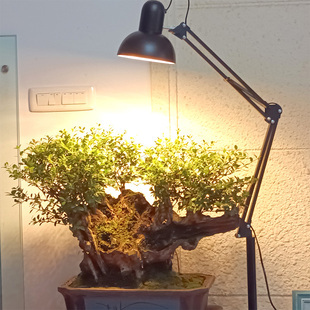 全光谱植物补光灯仿太阳光室内绿植生长灯万向折叠E27灯架落地灯
