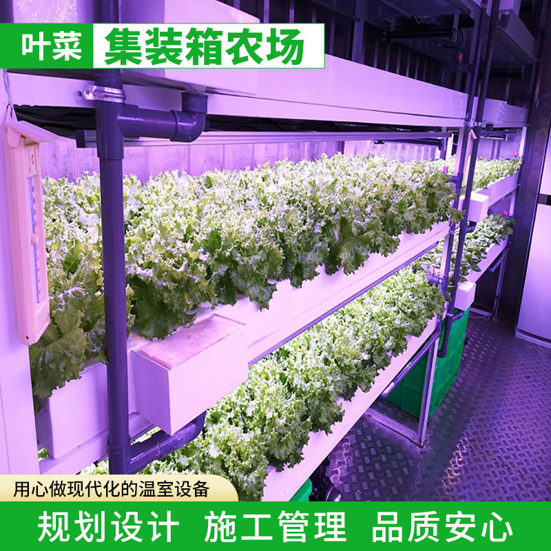 城市农业叶菜集装箱植物工厂智能化垂直农场无土栽培种植立体温室