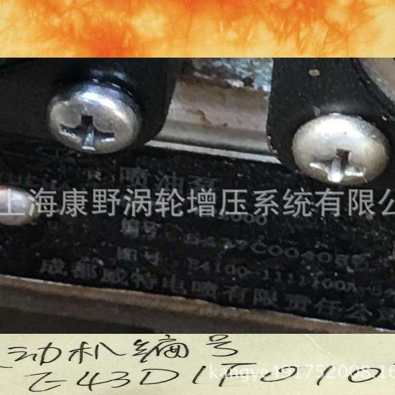 适用玉柴的威特喷油泵 型号WPS2000 E4100-1111100A-543柱塞50104
