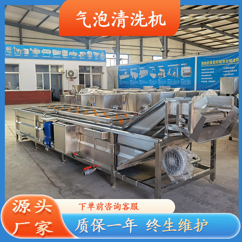 多功能鼓泡式辣椒气泡清洗机白菜加工清洗设备猕猴桃喷淋清洗机