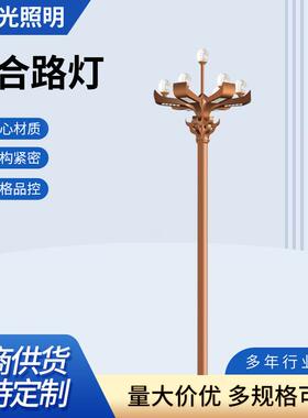 中华灯市政广场工程10米12米15米景观灯道路照明组合led玉兰灯