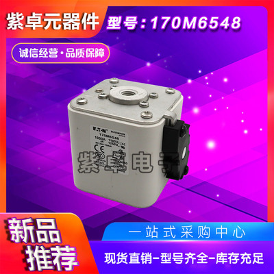 170M6594-170M6599熔断器