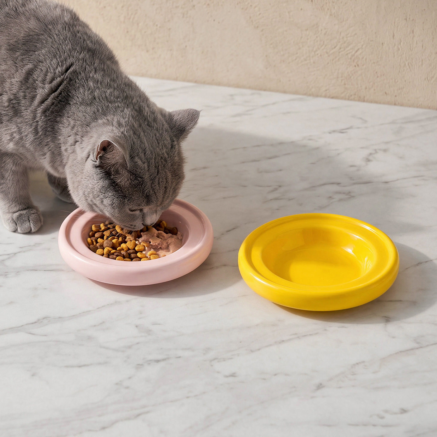简约纯色平底湿粮盘陶瓷猫碗狗碗防打翻宠物碗猫咪水碗舔食盘
