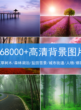 自然风景高清背景图片花草树木街道人物森林湖泊盐田雪景风光素材