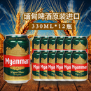 麦芽精酿黄啤酒整箱 缅甸进口缅玛啤酒Myanmar原装 12罐装 330ml