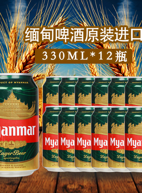 330ml*12罐装缅甸进口缅玛啤酒Myanmar原装麦芽精酿黄啤酒整箱