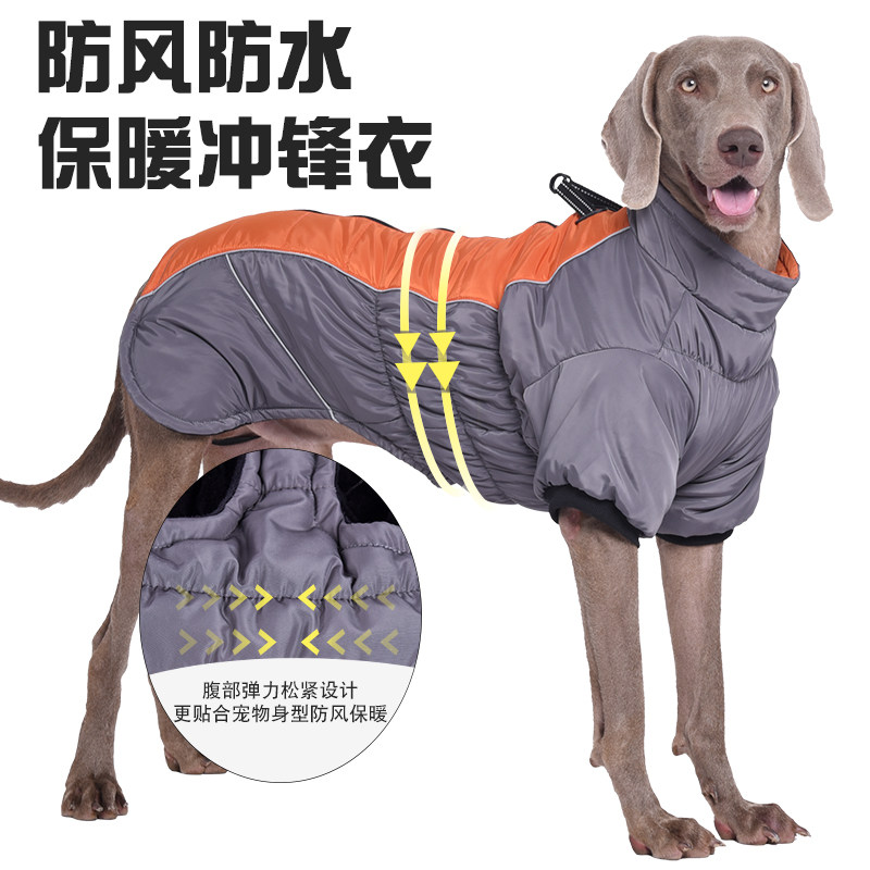 秋冬新款宠物衣服可牵引两脚狗衣服反光保暖加绒中大型狗宠物服饰,宠物/宠物食品及用品,狗宠物服装/雨衣,淘宝优惠券,粉丝福利购,淘宝优惠卷