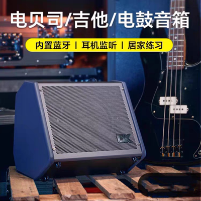 DK iB-30电贝司音箱贝斯音响专业监听蓝牙家用练习弹唱户外演出