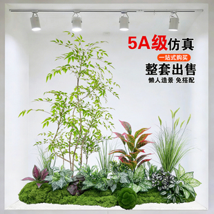 仿真植物造景组合橱窗装 饰假绿植景观造景庭院布置玄关室内氛围树