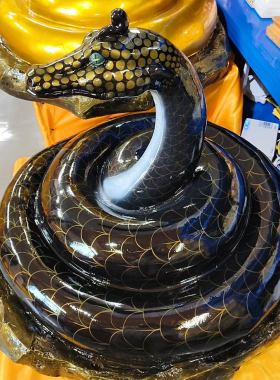 灵蛇大黑蟒蛇金蟒常家蟒天龙真身