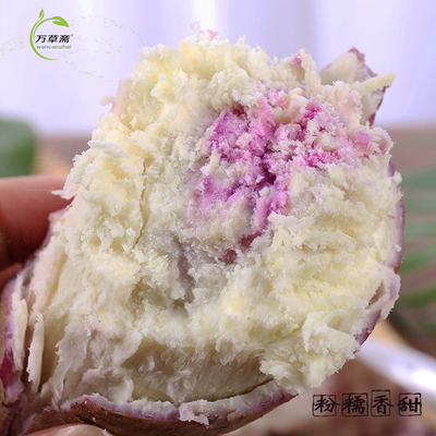 冰淇淋紫心茂名红薯有坏包赔