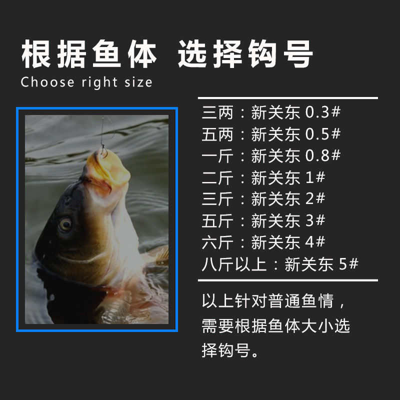 鹰梦竞技鱼钩正品 鬼牙新关东无倒刺鱼勾 黑坑鲤钩子盒装鲤鱼