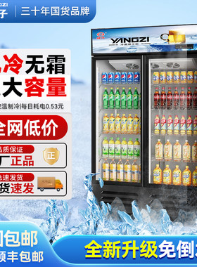 扬子铜管饮料展示柜冷藏冰柜保鲜双开门冷柜商用单门啤酒冰箱立式