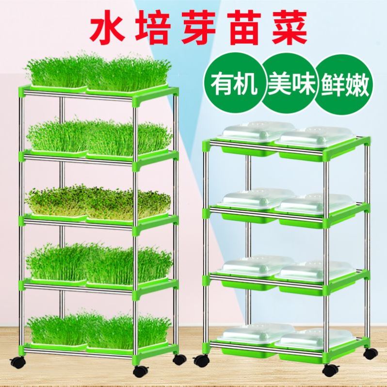 芽苗菜育苗架水培蔬菜不锈钢种植育苗盘/营养钵