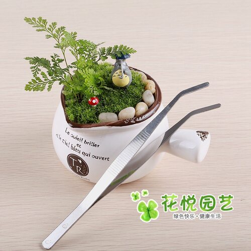 7cm微景观工具园艺工具镊子金属