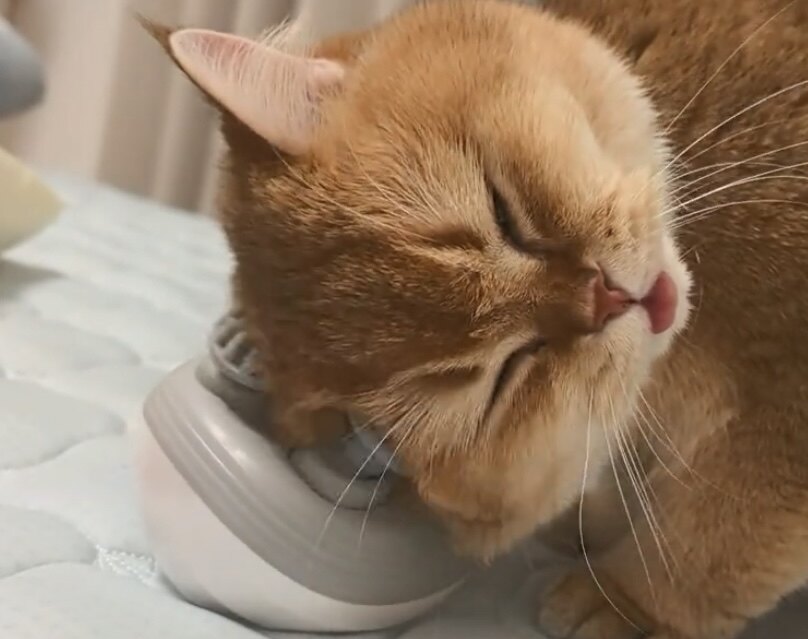 猫咪按摩神器狗狗按摩仪灵魂提取器八爪鱼按摩器撸猫