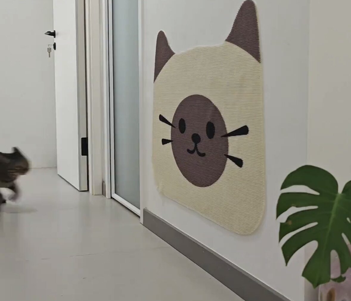 防猫抓门猫抓板自粘门贴耐抓不掉屑立式墙贴防狗抓防猫挠门保护贴