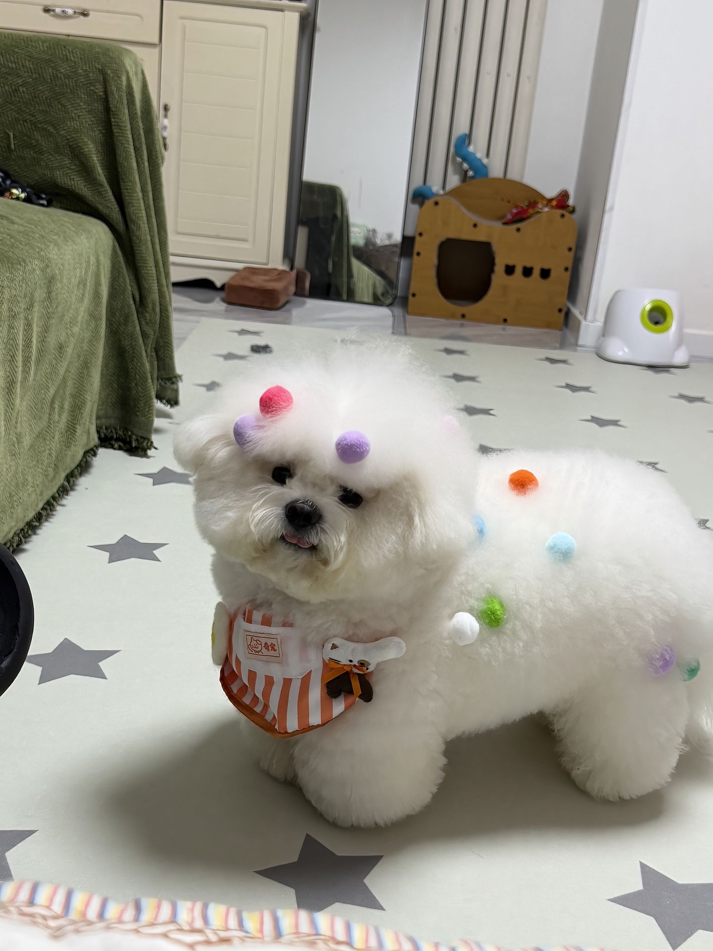 宠物口水巾小狗猫咪大型犬围脖可爱 Cos服饰厨师服帽子时尚围脖