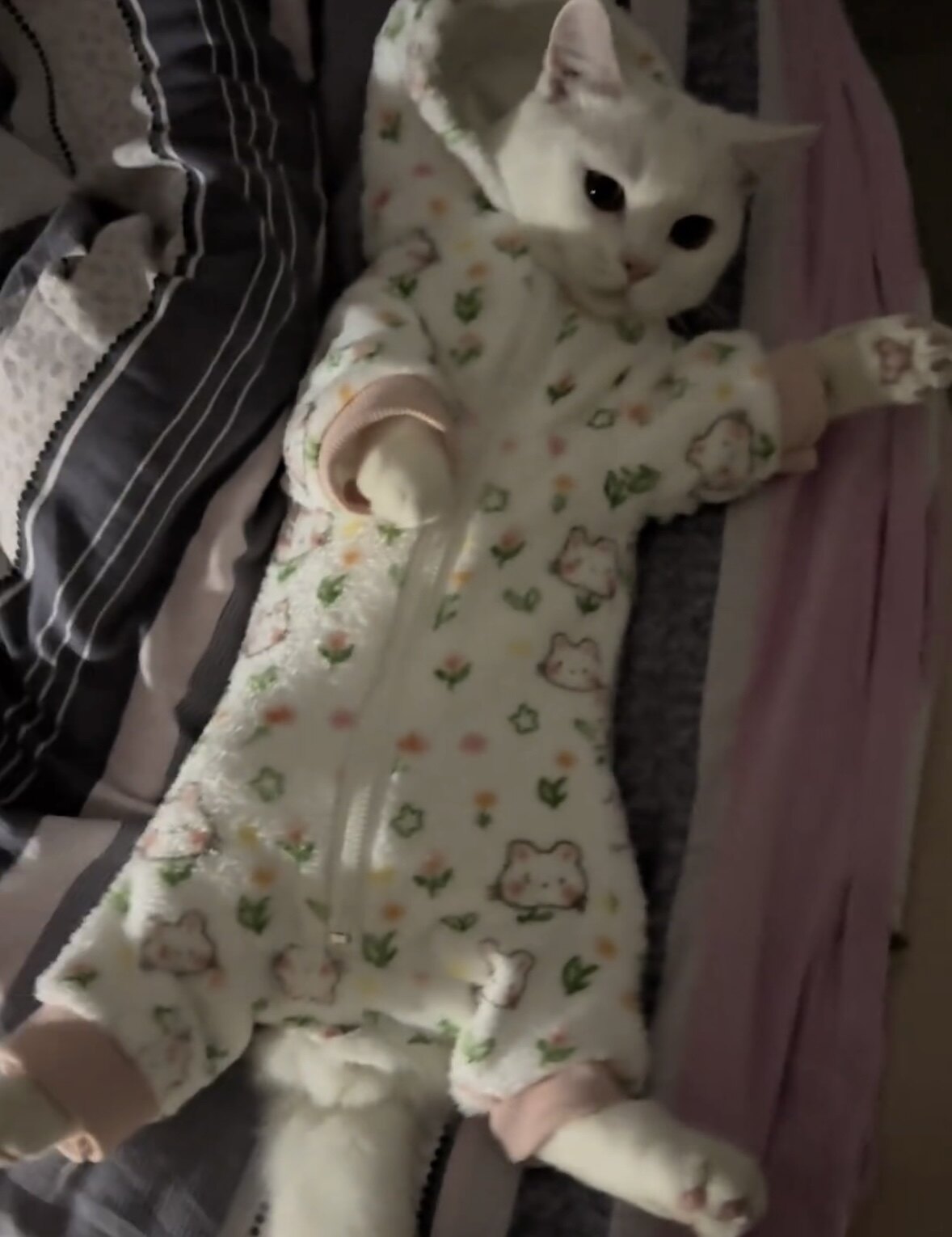 猫咪可爱保暖小猫睡衣Kitty猫新款家居舒适四脚款幼犬通用超萌