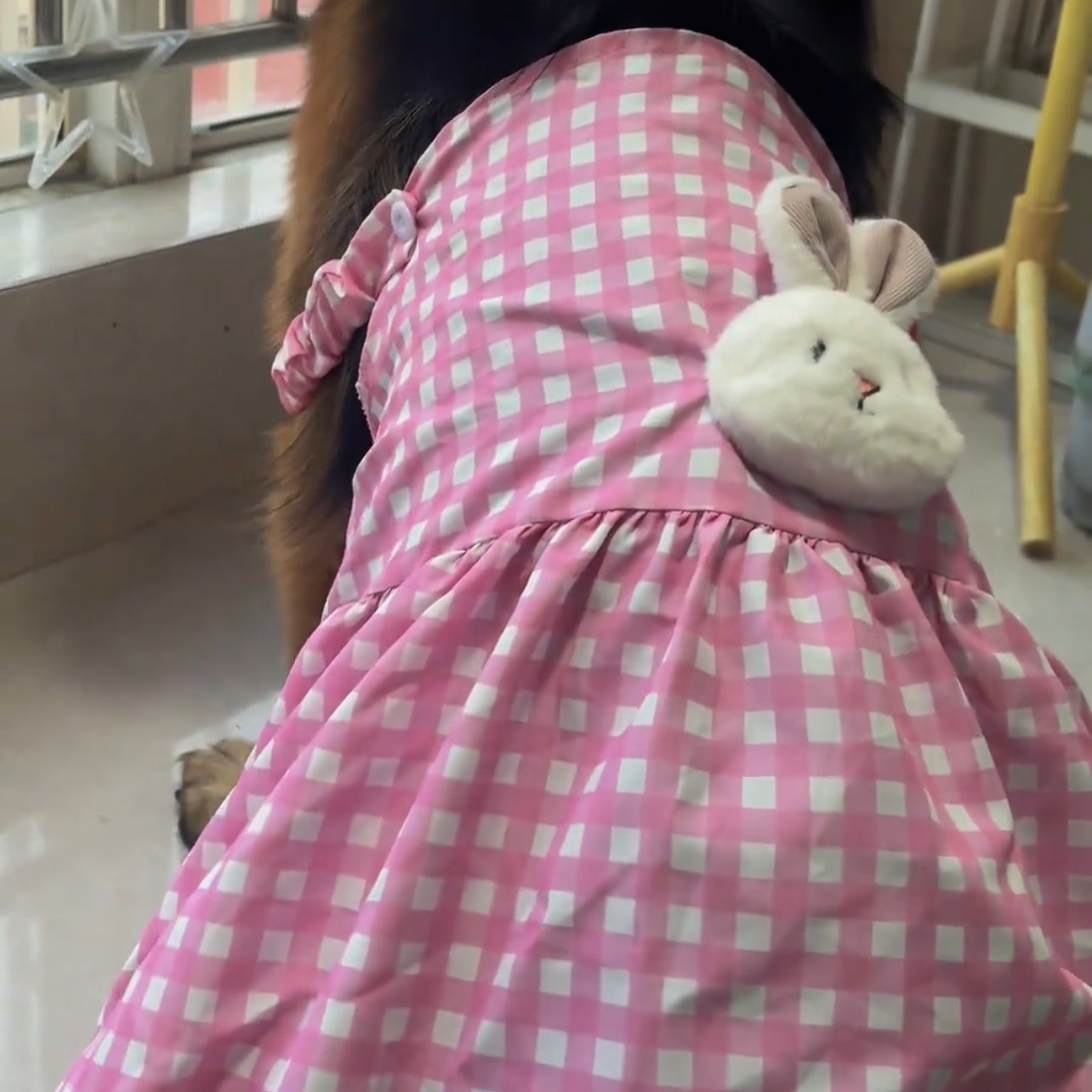 宠物大狗衣服夏季新款格子粉色小兔子可爱裙子狗狗大型犬帽子