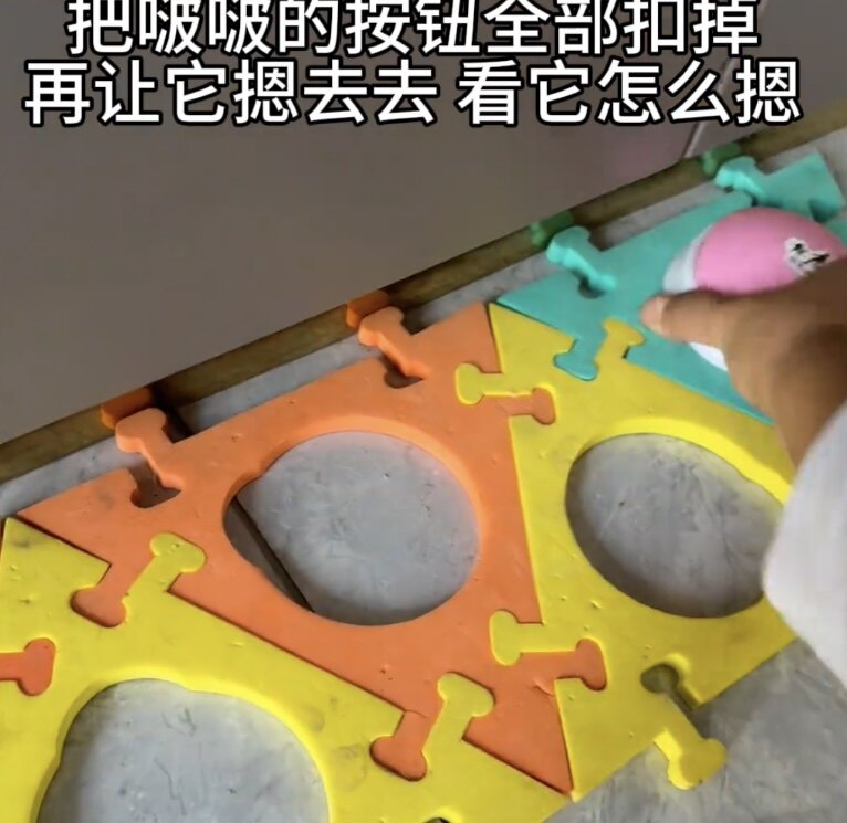 宠物交流按钮沟通训练按键说话玩具录音发声器训狗神器录可录音