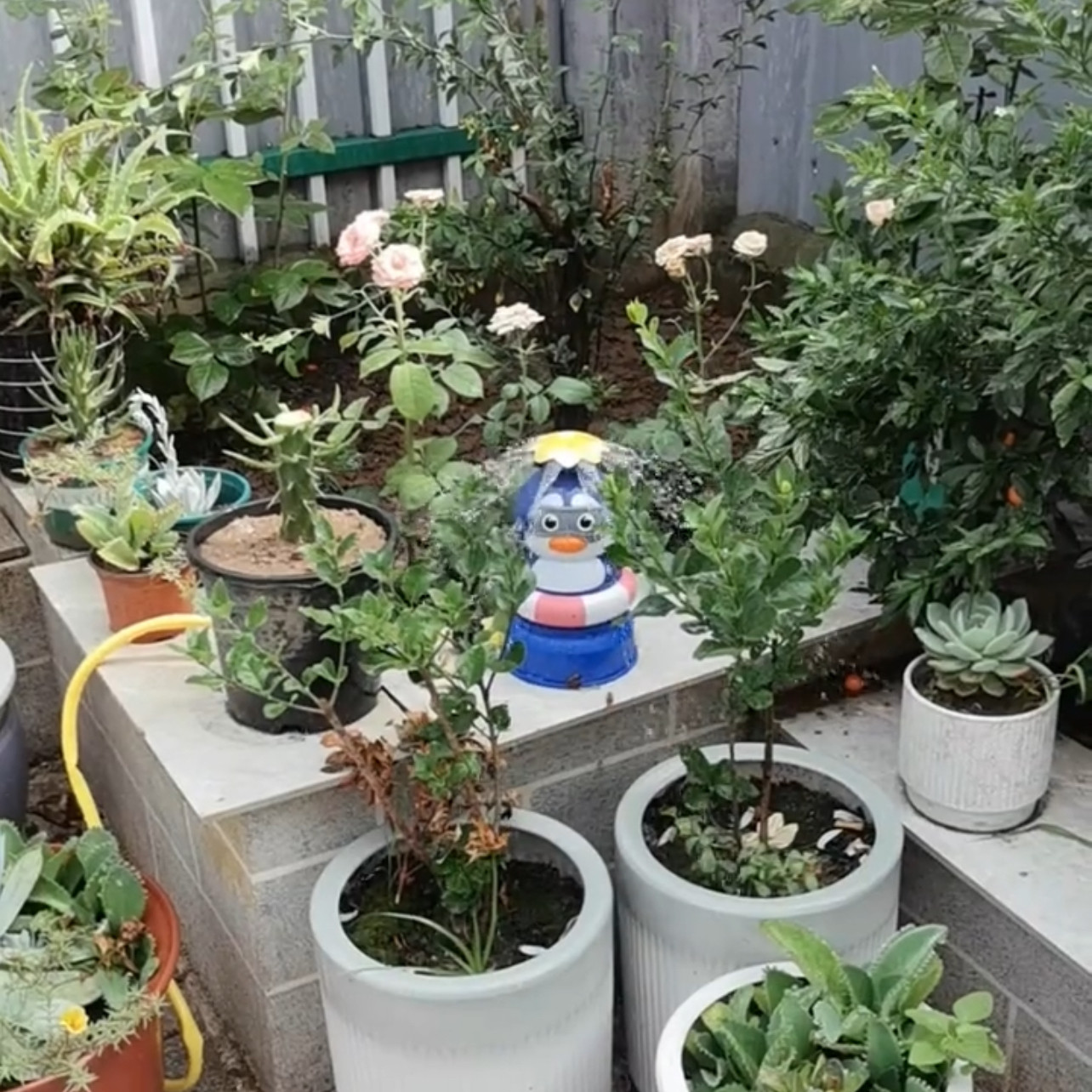 小企鹅新款洗澡神器卡通动物户外戏水儿童玩具飞天喷水火箭