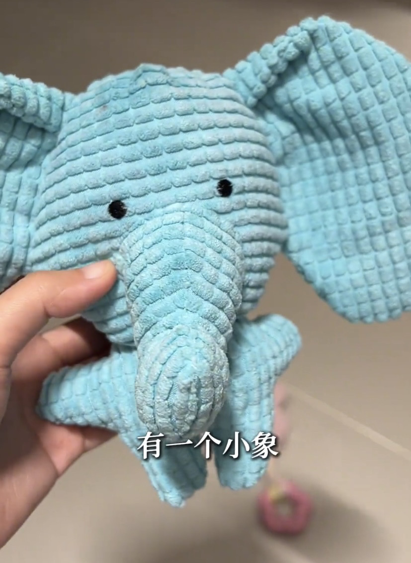 蓝色小象小兔狗狗发声玩具组合解闷神器陪伴洁牙小狗磨牙柯基玩具