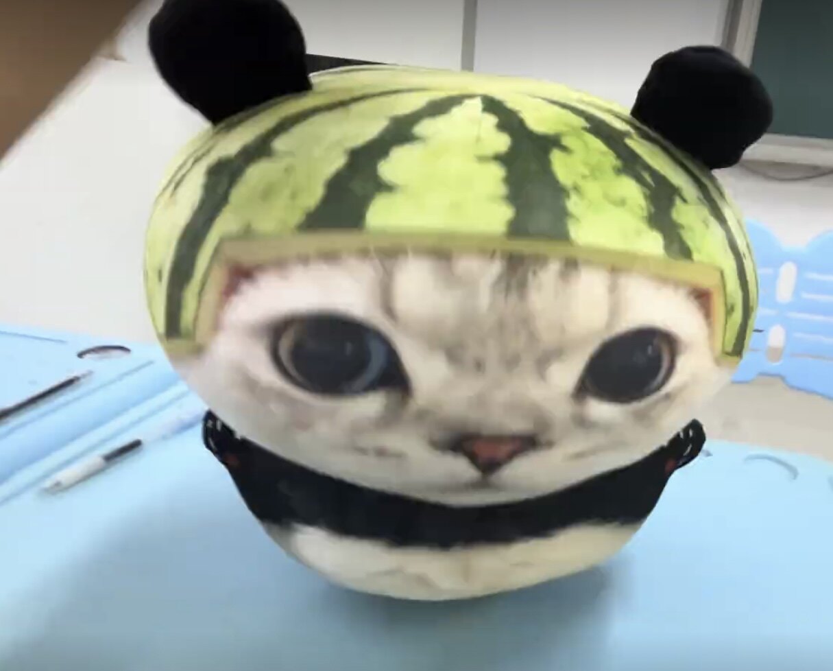 熊喵喵抽象表情包玩偶可爱西瓜帽熊猫抱枕毛绒趣味玩具男女生礼物