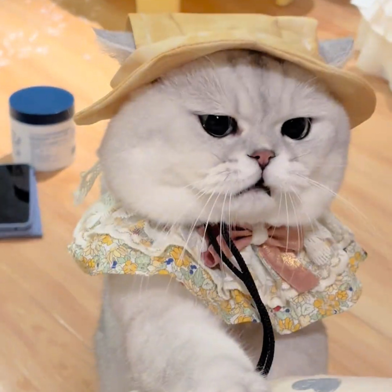 精美蝴蝶结可爱2026花边口水巾宠物猫咪狗狗布偶娃娃衣服碎花围脖