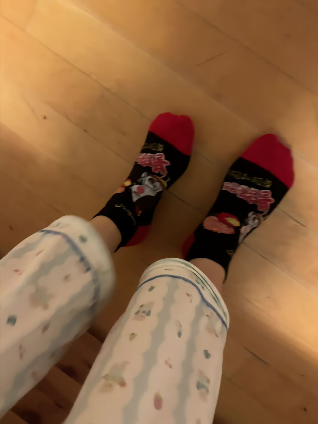 网红同款卡通图案可爱小女生短棉火鸡面形袜子