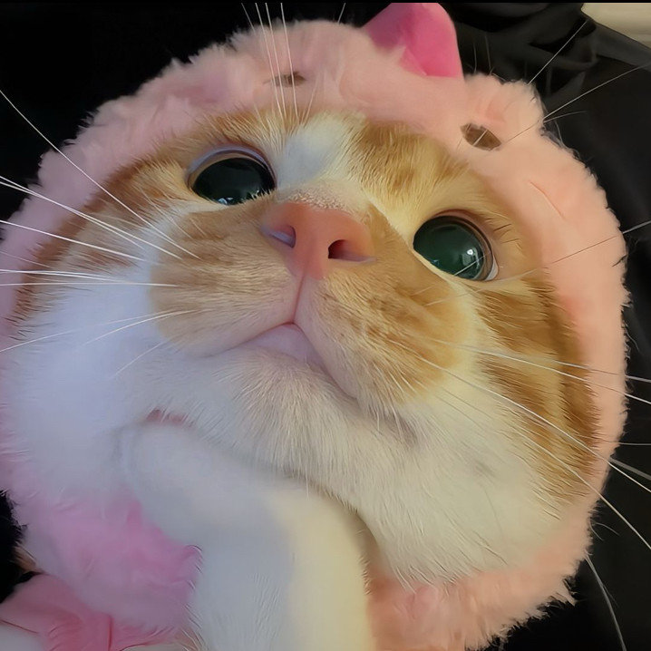 粉色兔兔帽新款猫咪狗狗帽子头套超萌头套搞笑可爱小兔子宠物装扮