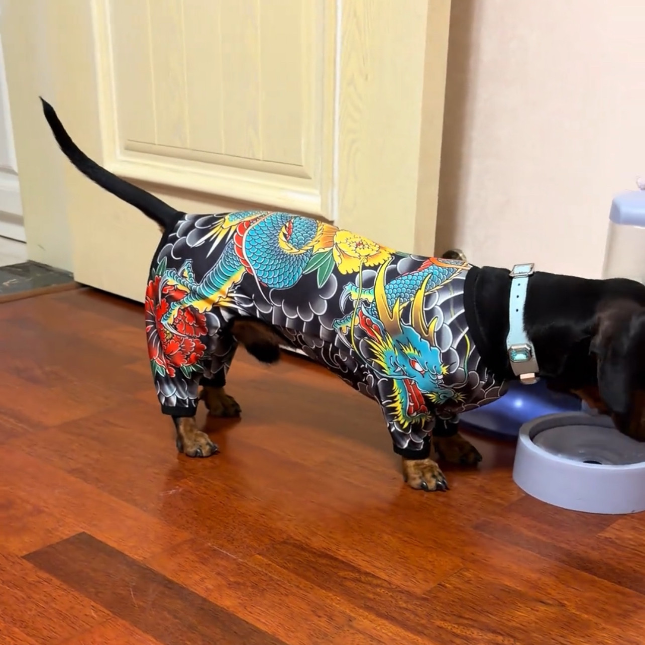 大型犬2026狗狗衣服纹身衣四脚衣霸气个性搞笑宠物服装四季通用