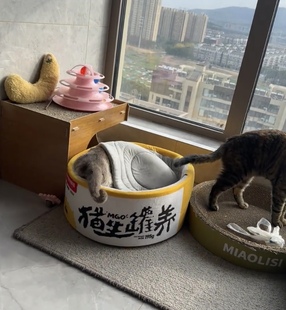 安全感可拆卸猫床罐头猫窝封闭式 通用款 猫窝狗窝宠物用品四季 新款