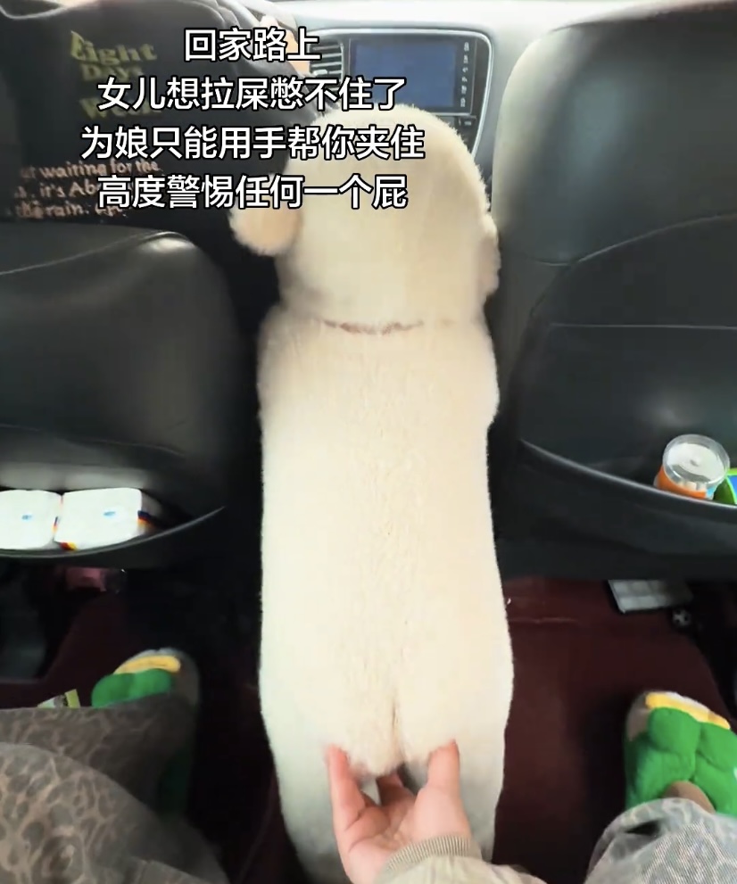 婴儿衣服秋冬连体衣可爱宝宝保暖羊羔绒哈衣外小熊外出爬服