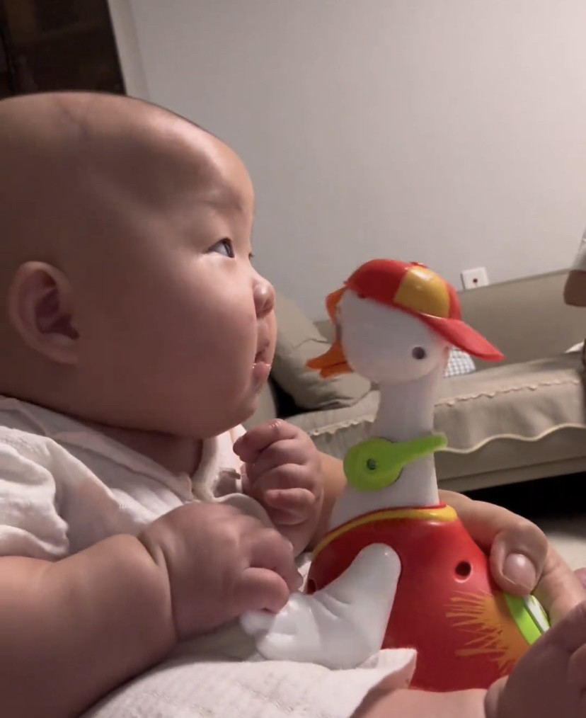 新款婴幼儿网红宝宝音乐电动玩具1-3岁六一礼物跳舞摇摆鹅充电款