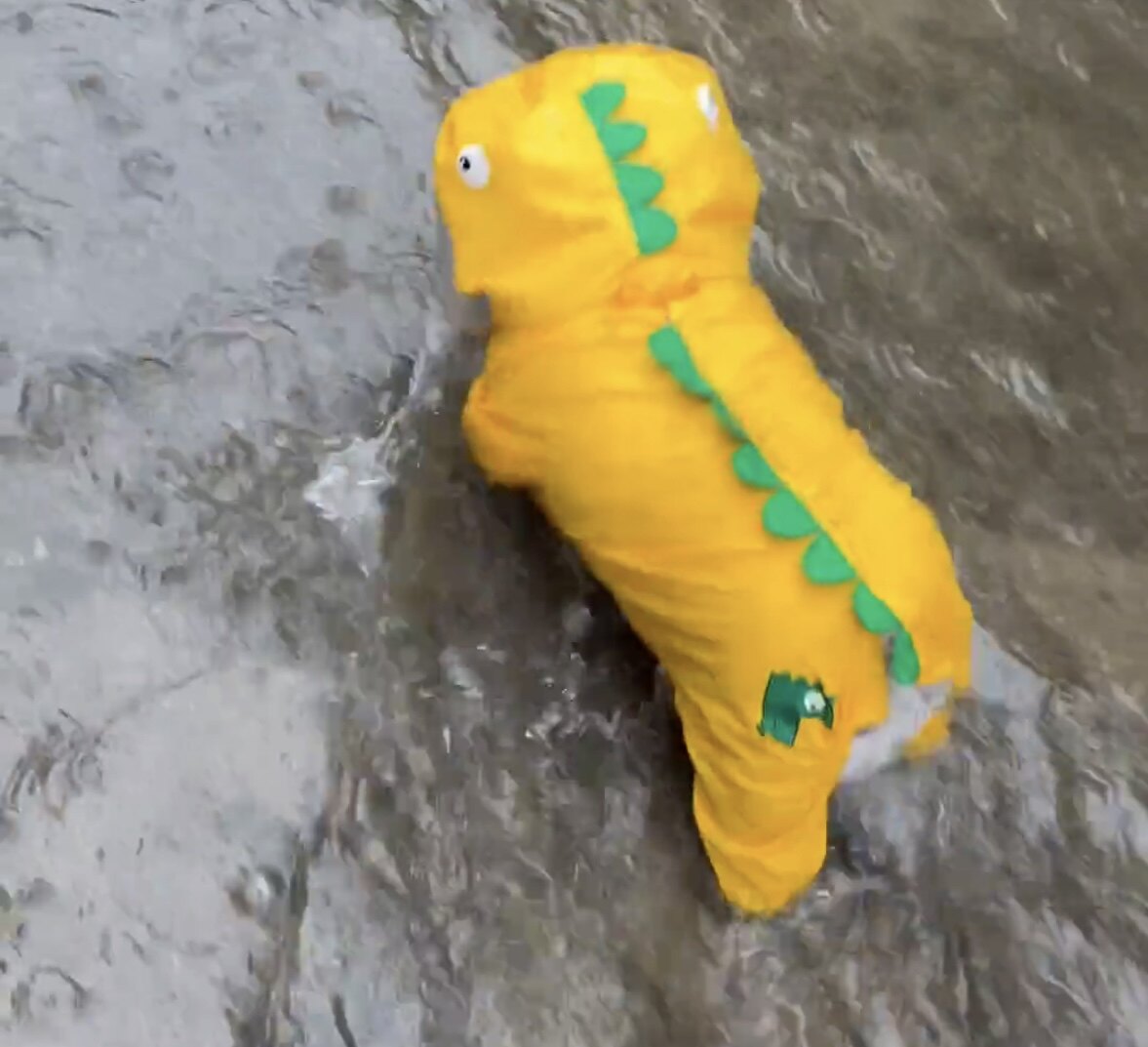 狗狗雨衣宠物防水衣服防雨外套可爱恐龙变身装法斗巴哥比熊