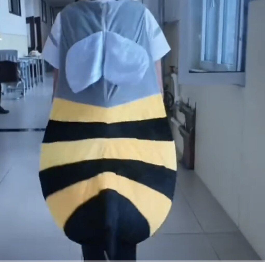可穿鲨鱼蜜蜂玩偶服可创意活动装扮儿童成人鲨鱼蜜蜂