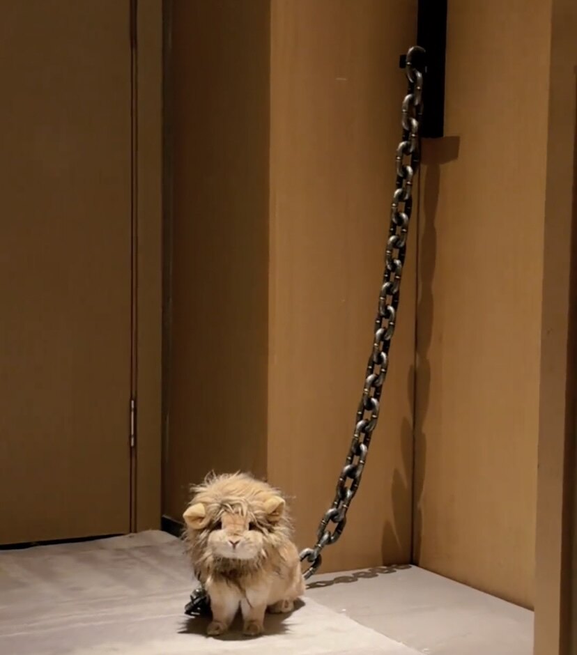 网红猫咪狮子头套小型犬狗狗帽子宠物美短可爱头饰潮流帅气