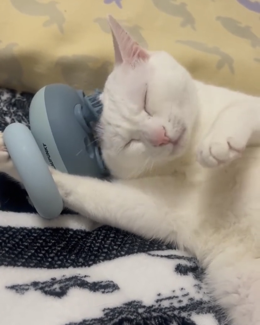 猫咪头部按摩器头皮按摩爪灵魂提取器仪抓头挠头神器电动洗头