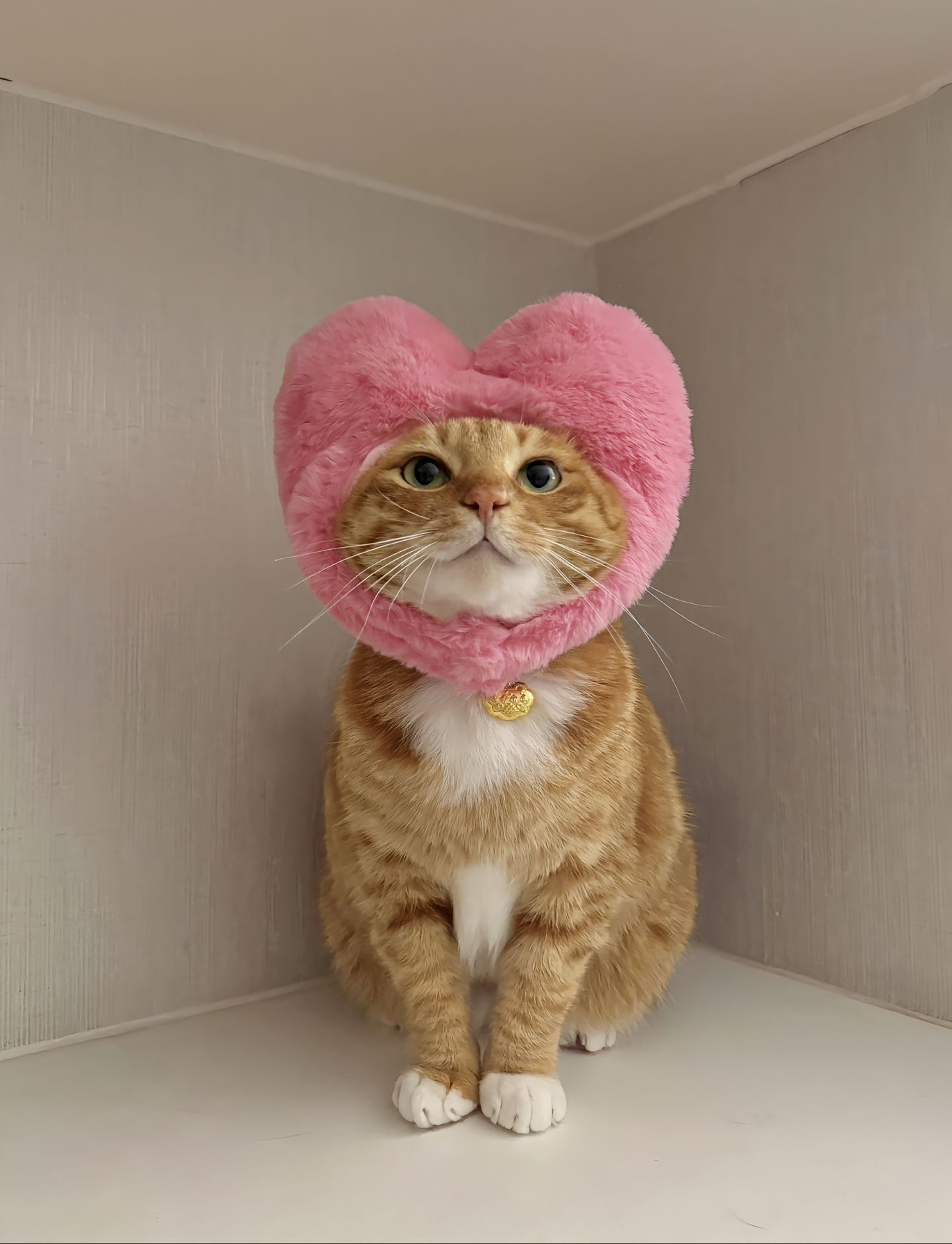 新款猫咪七夕爱心头套猫咪变装帽可爱猫咪头套毛绒道具