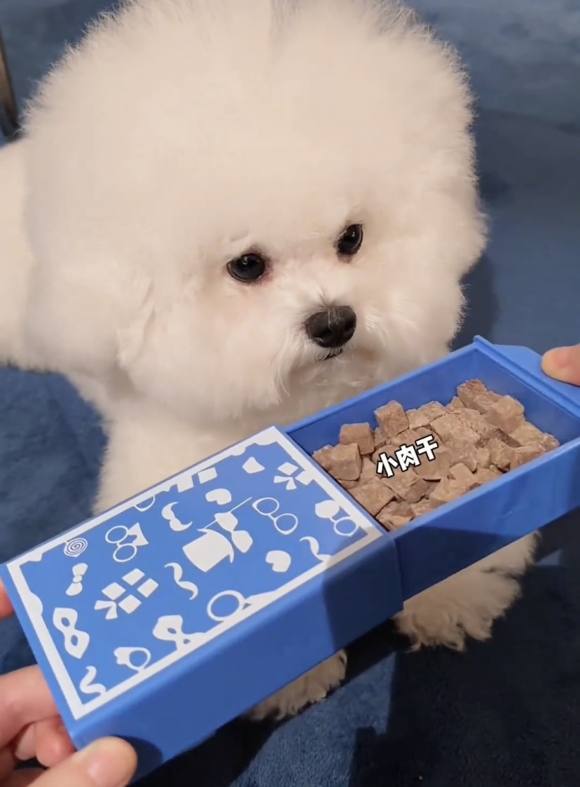 奇妙魔法盒大号魔术盒空盒出物适合新手创意近景魔术道具