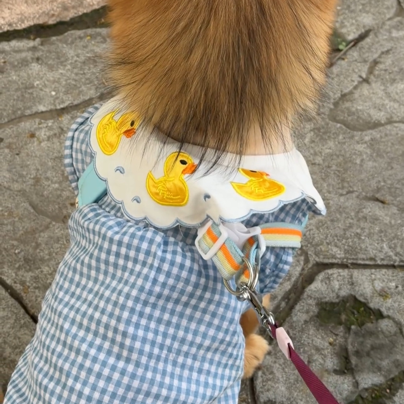 小黄鸭蓝格子背心裙小型犬宠物夏季服饰薄款超萌新款2026衣服